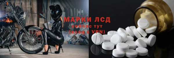 сатива Алзамай