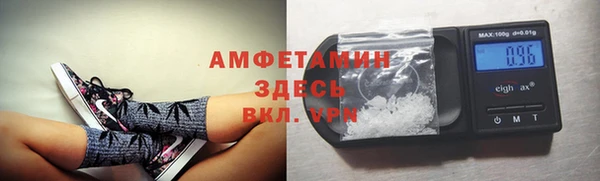 сатива Алзамай