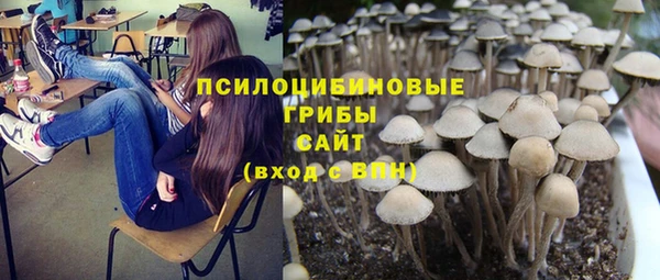 спайс Алексеевка