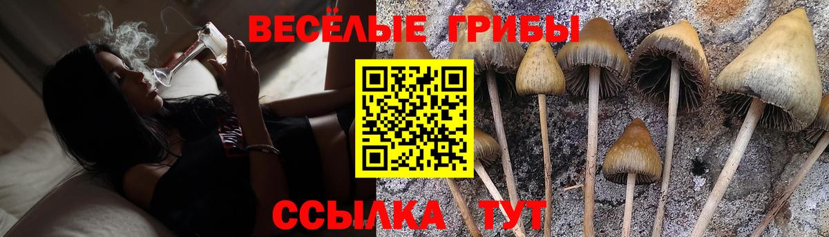 Волхов  Галлюциногенные грибы мицелий  Вход с VPN 