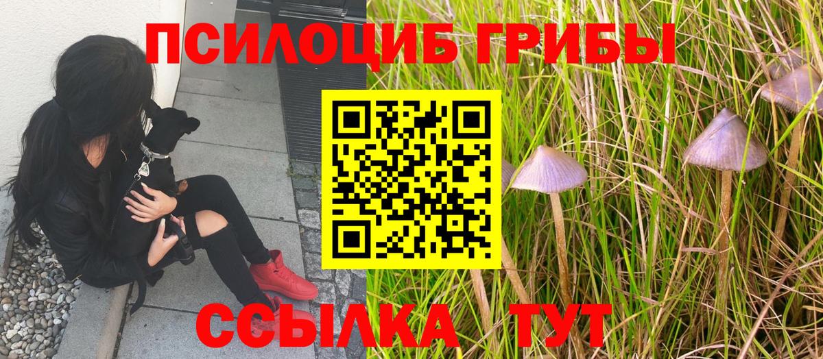 Галлюциногенные грибы ЛСД Волхов