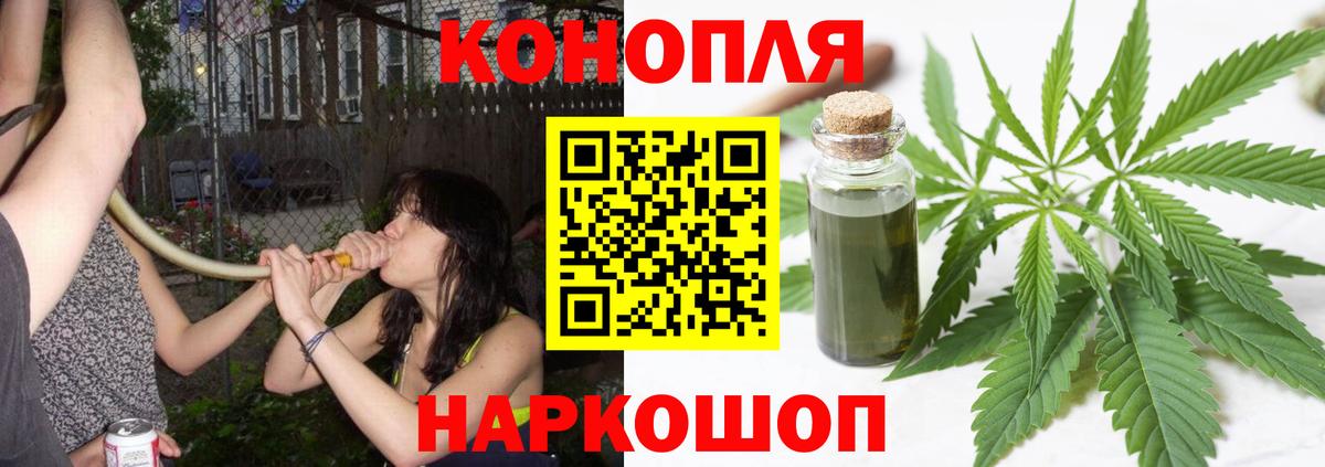 Шишки марихуана Ganja Волхов